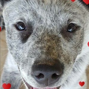 Meet your Posher, Cynthia